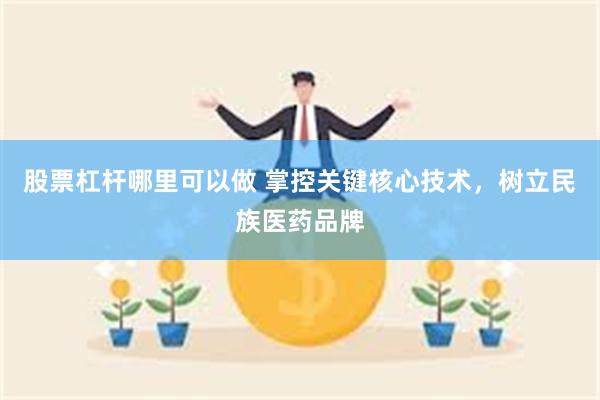 股票杠杆哪里可以做 掌控关键核心技术，树立民族医药品牌