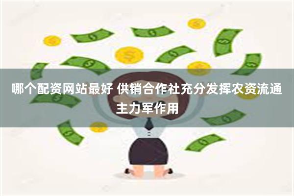 哪个配资网站最好 供销合作社充分发挥农资流通主力军作用