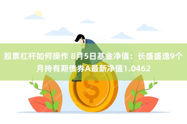 股票杠杆如何操作 8月5日基金净值：长盛盛逸9个月持有期债券A最新净值1.0462