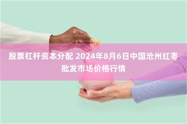 股票杠杆资本分配 2024年8月6日中国沧州红枣批发市场价格行情