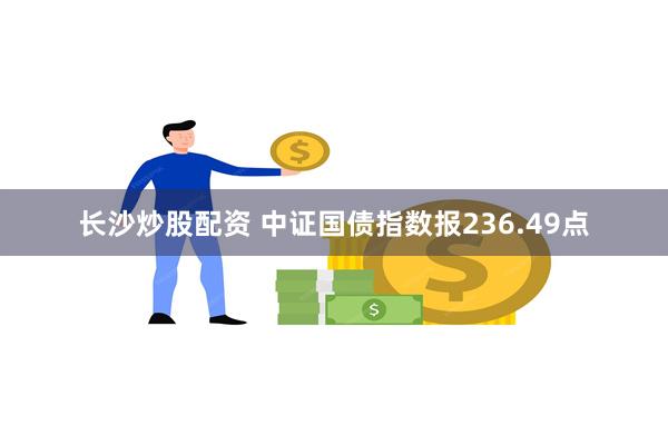 长沙炒股配资 中证国债指数报236.49点