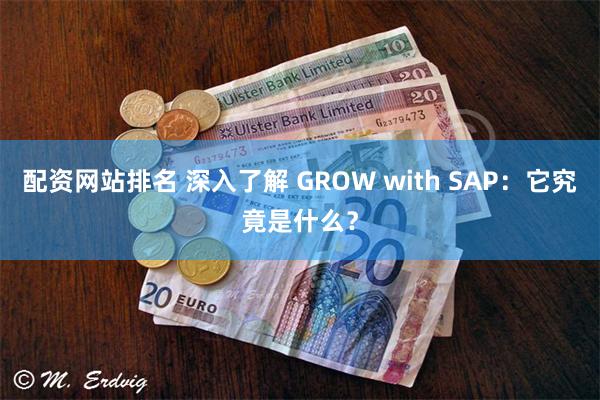 配资网站排名 深入了解 GROW with SAP：它究竟是什么？