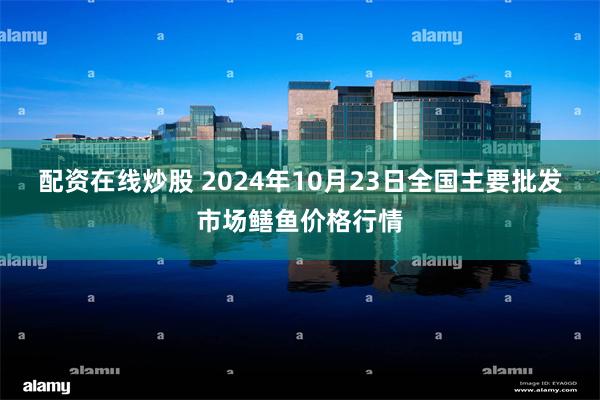 配资在线炒股 2024年10月23日全国主要批发市场鳝鱼价格行情