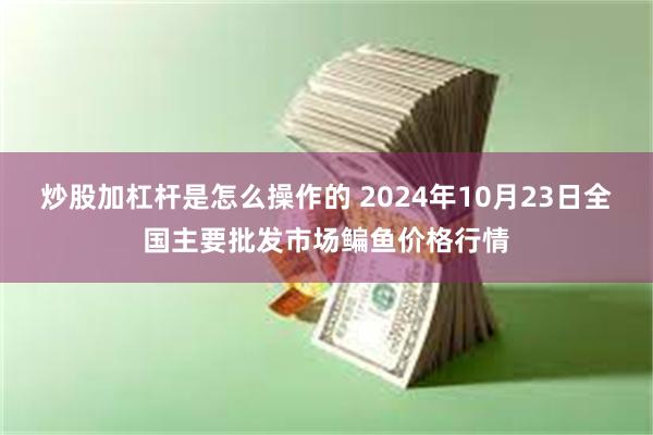 炒股加杠杆是怎么操作的 2024年10月23日全国主要批发市场鳊鱼价格行情