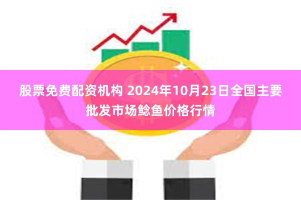 股票免费配资机构 2024年10月23日全国主要批发市场鲶鱼价格行情