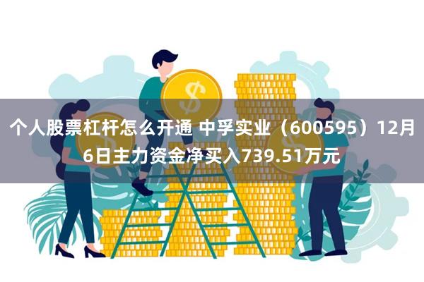 个人股票杠杆怎么开通 中孚实业（600595）12月6日主力资金净买入739.51万元