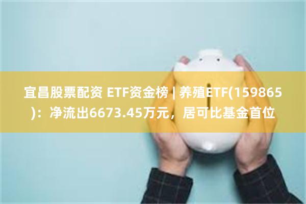 宜昌股票配资 ETF资金榜 | 养殖ETF(159865)：净流出6673.45万元，居可比基金首位