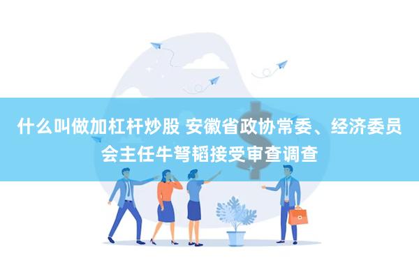 什么叫做加杠杆炒股 安徽省政协常委、经济委员会主任牛弩韬接受审查调查