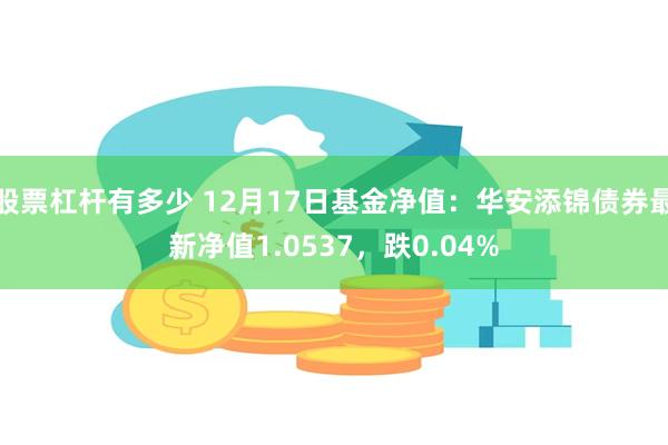 股票杠杆有多少 12月17日基金净值：华安添锦债券最新净值1.0537，跌0.04%