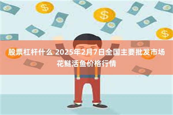 股票杠杆什么 2025年2月7日全国主要批发市场花鲢活鱼价格行情